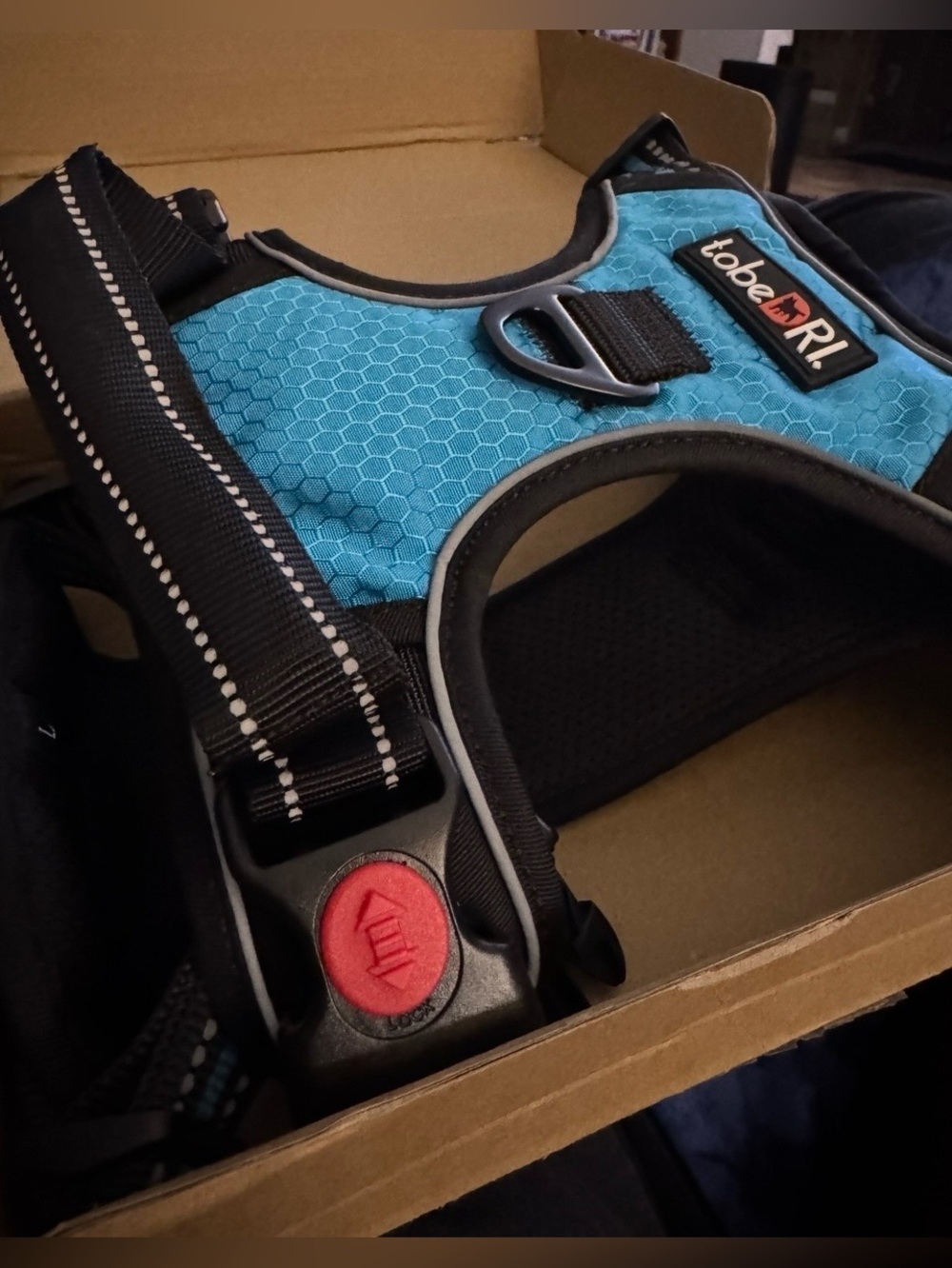 New tobeDRI Blue No Pull Dog Harness, Adjustable, Large, With Matching Leash